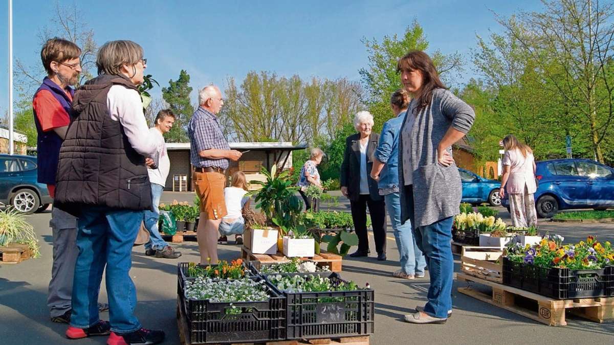 Kulmbach: Pflanzenflohmarkt wieder mal der Renner