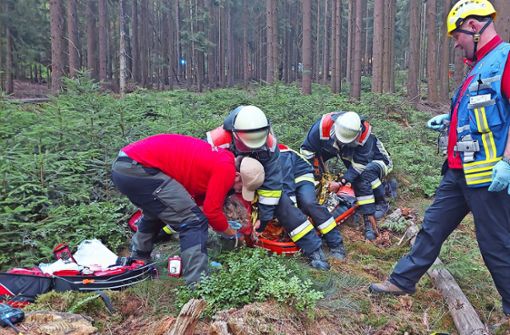 Feuerwehr und Bergwacht übten gemeinsam die Rettung eines Verletzten. Foto: /pr.