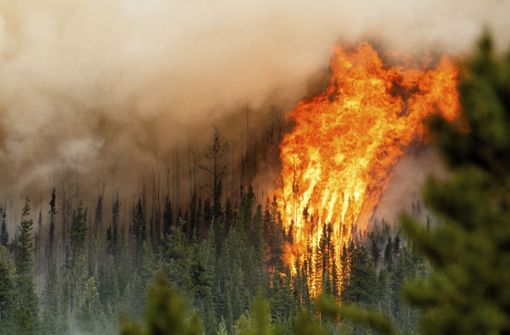 Ein Waldbrand wütet am 3. Juli 2023 in der kanadischen Region Donnie Creek. Die Waldbrände in Kanada haben nach Angaben des EU-Erdbeobachtungsprogramms Copernicus Rekordmengen an Kohlenstoff in die Atmosphäre gepumpt. Foto: Noah Berger/AP/dpa