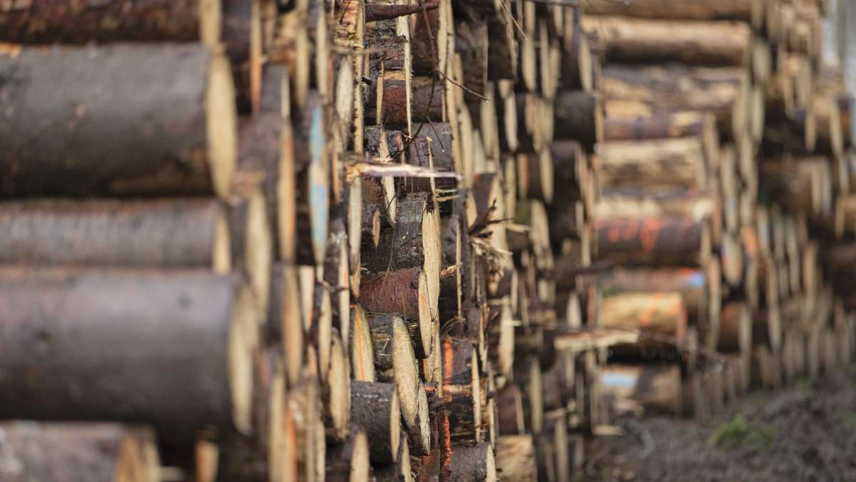 Brennholz: Vom Massenprodukt zur Mangelware