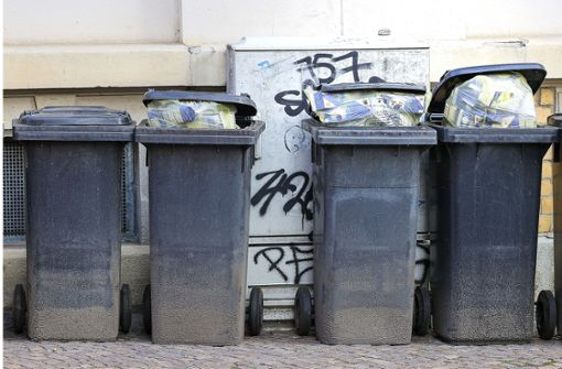 An einem Mülleimer ließ der Mann seine Wut aus. Foto: dpa//Jan Woitas