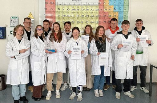 Johannes Wällisch (Zweiter von links) war mit seinen Schülern beim internationalen Chemie-Wettbewerb sehr erfolgreich. Foto: privat