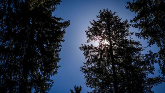 Wetter in Deutschland: Extreme Hitze vorbei – Waldbrandgefahr bleibt aber