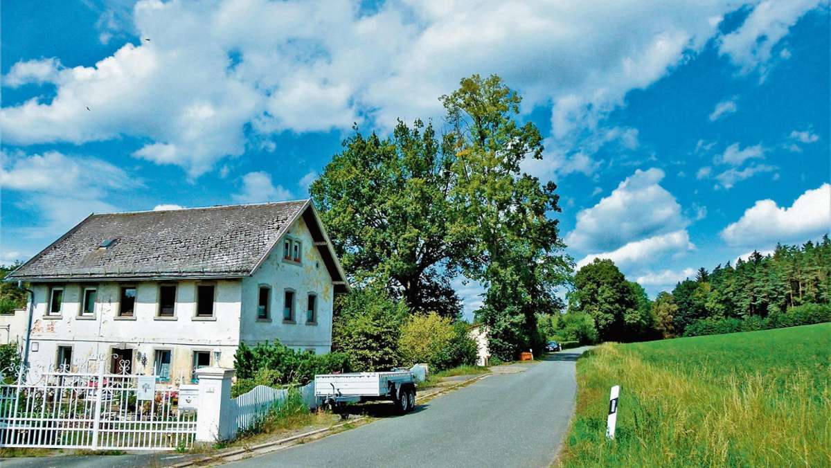 Kulmbach: Aufschrei gegen Straße durch den Buchwald