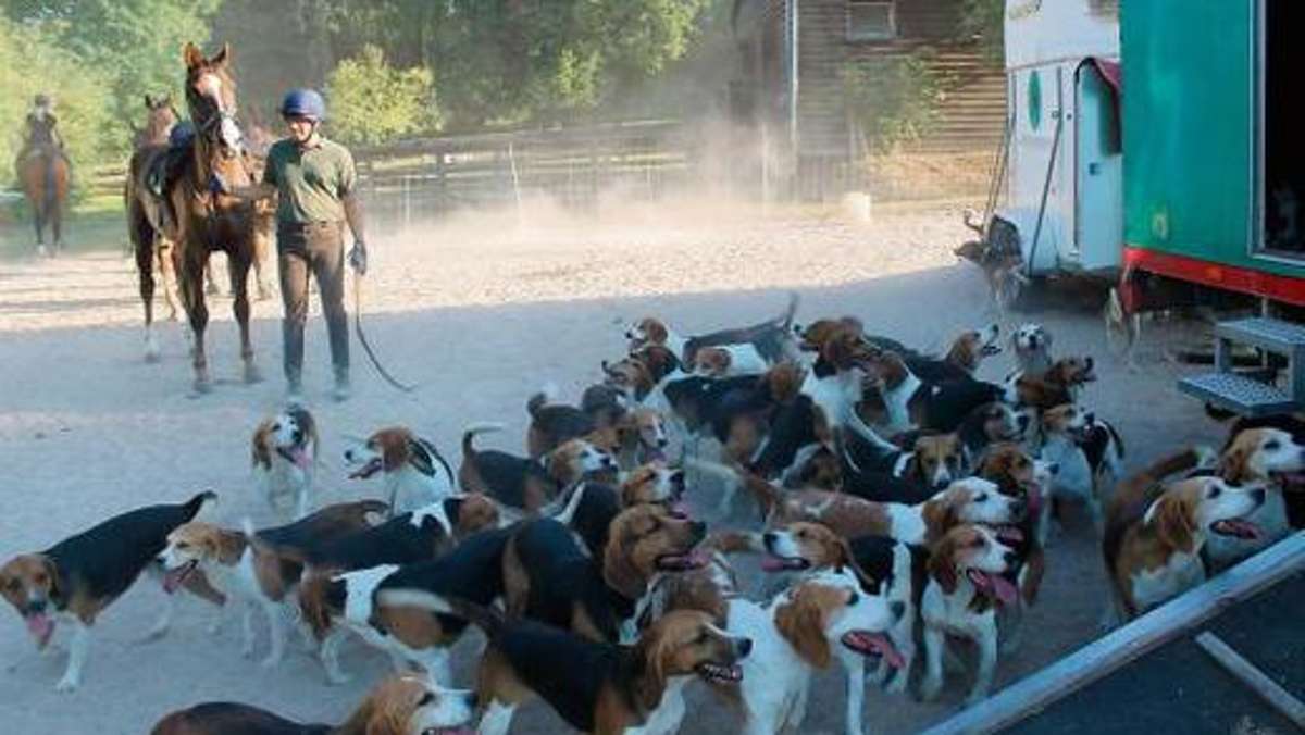 Wunsiedel: Beagles trainieren für die Jagd
