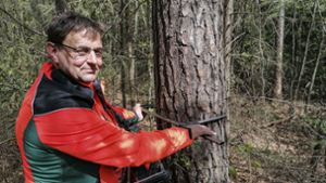 Inventur im Rehauer Forst: Wie vermisst man einen Wald?