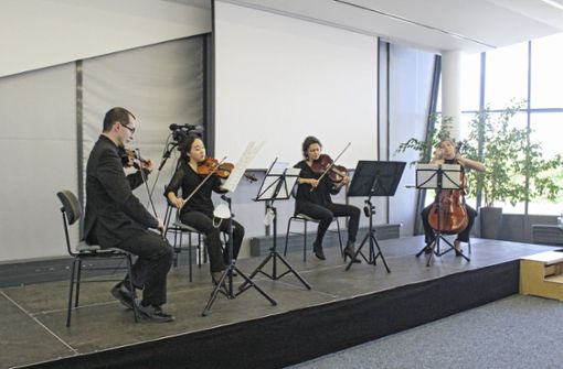 Das Streichquartett der Hofer Symphoniker spielte zum Auftakt der Festwochen in der Freiheitshalle  Werke jüdischer Komponisten. Foto: /Kaupenjohann