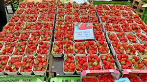 Erdbeer-Saison: Warum regionale  Produkte besser sind