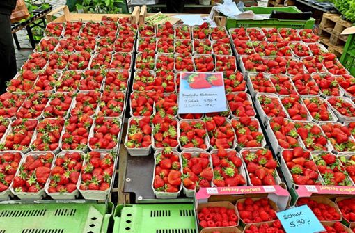 Auf dem Coburger Wochenmarkt: Erdbeeren  in Hülle und Fülle. Die Saison der süßen Frucht hat gerade begonnen. Foto: Neue Presse/Steffi Wolf