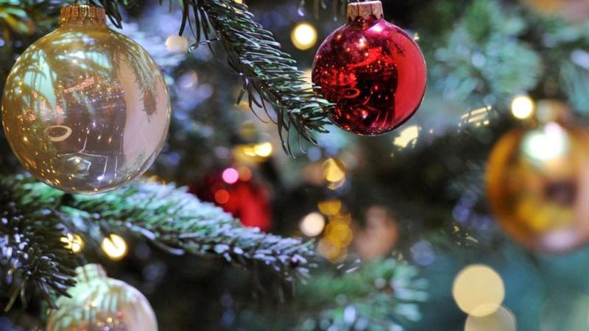 Hof: Stadt Hof sucht die zwölf schönsten Weihnachtsbäume