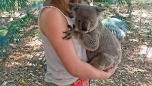 Auf Tuchfühlung mit Schlangen und Koalas