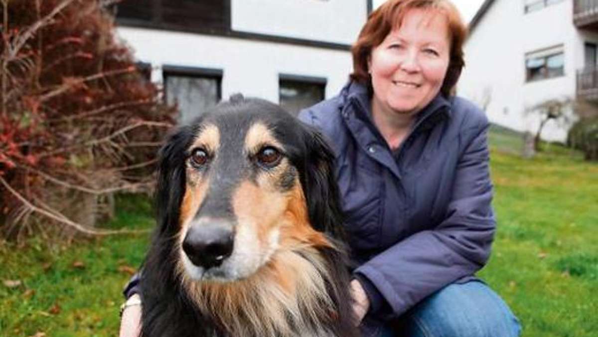 Kulmbach: Alia, der Rund-um-die-Uhr-Hund
