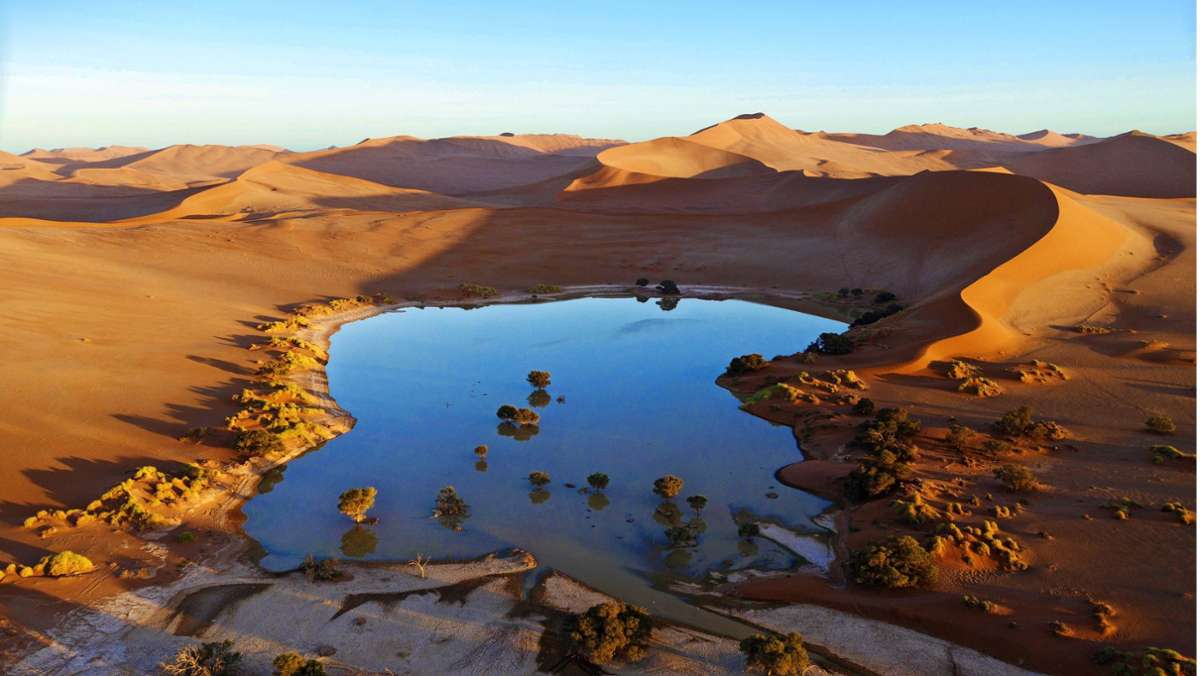 Reisen in Namibia: Namibwüste – im grünen Bereich