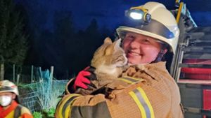 Feuerwehr rettet Kätzchen aus Güllegrube