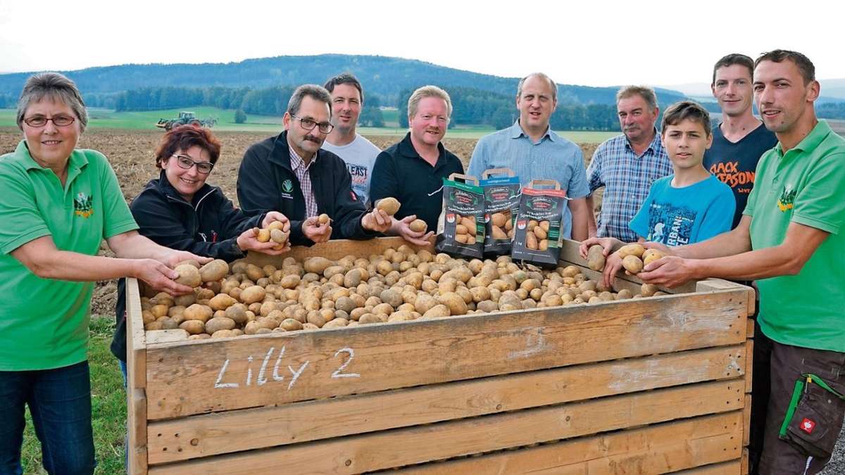 Großwendern: Kartoffelernte so schlecht wie nie