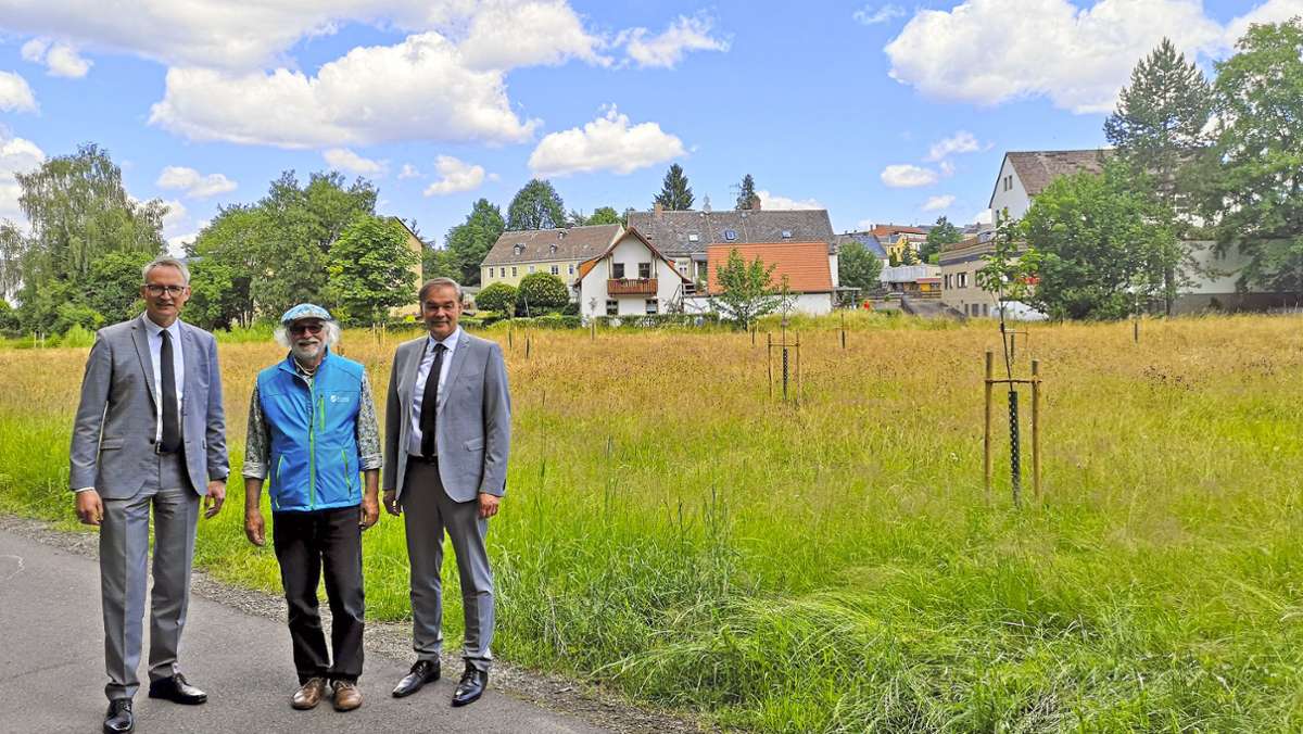 Streuobstwiese: Neues  Idyll am Selbbach