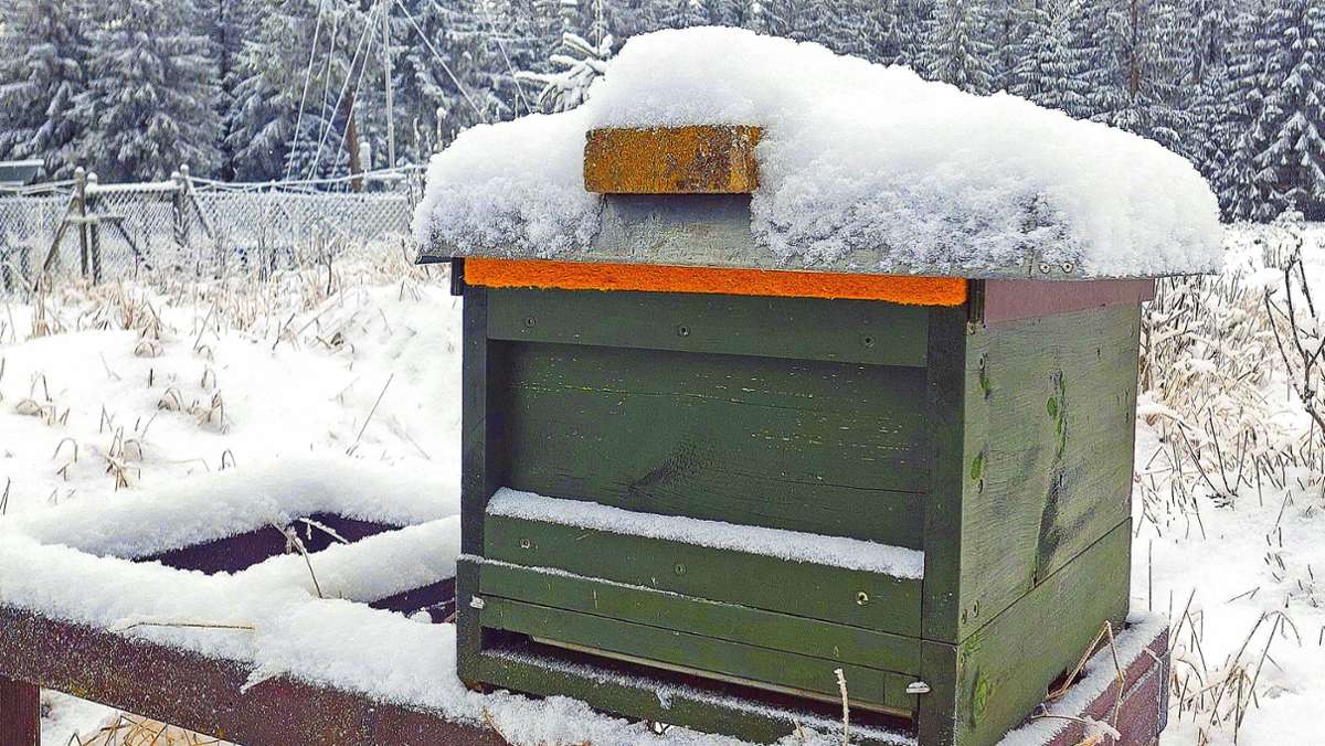 Fichtelgebirge: Bedrohungen für Bienenvölker