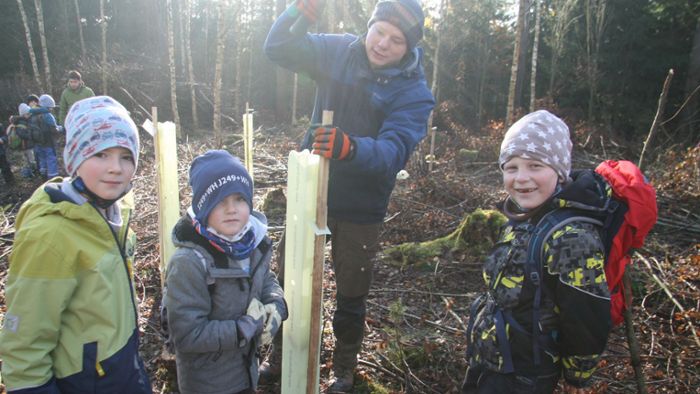 Bei Köditz: Schulkinder pflanzen Bäume