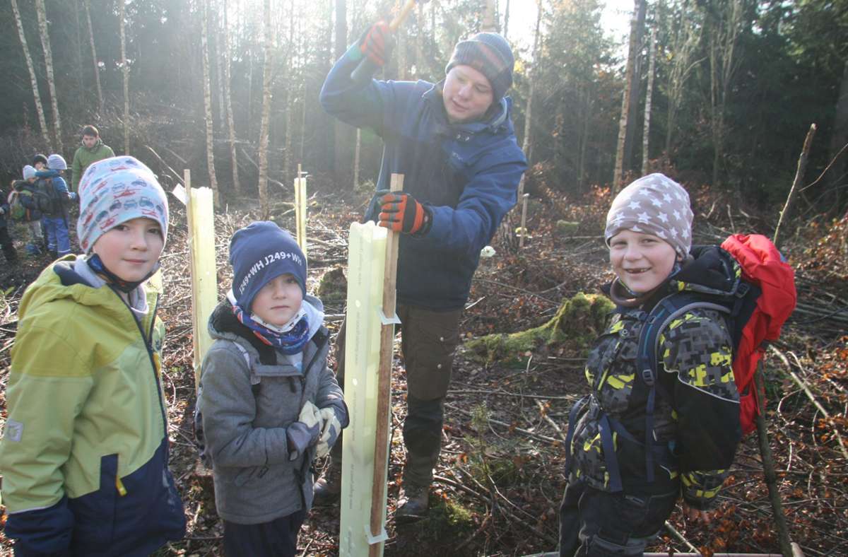 Kai Hagenbach vom Bereich Forsten des AELF Münchberg schlägt für die Kinder den Stab in den Boden, der die Pflanzhülle  festhält.