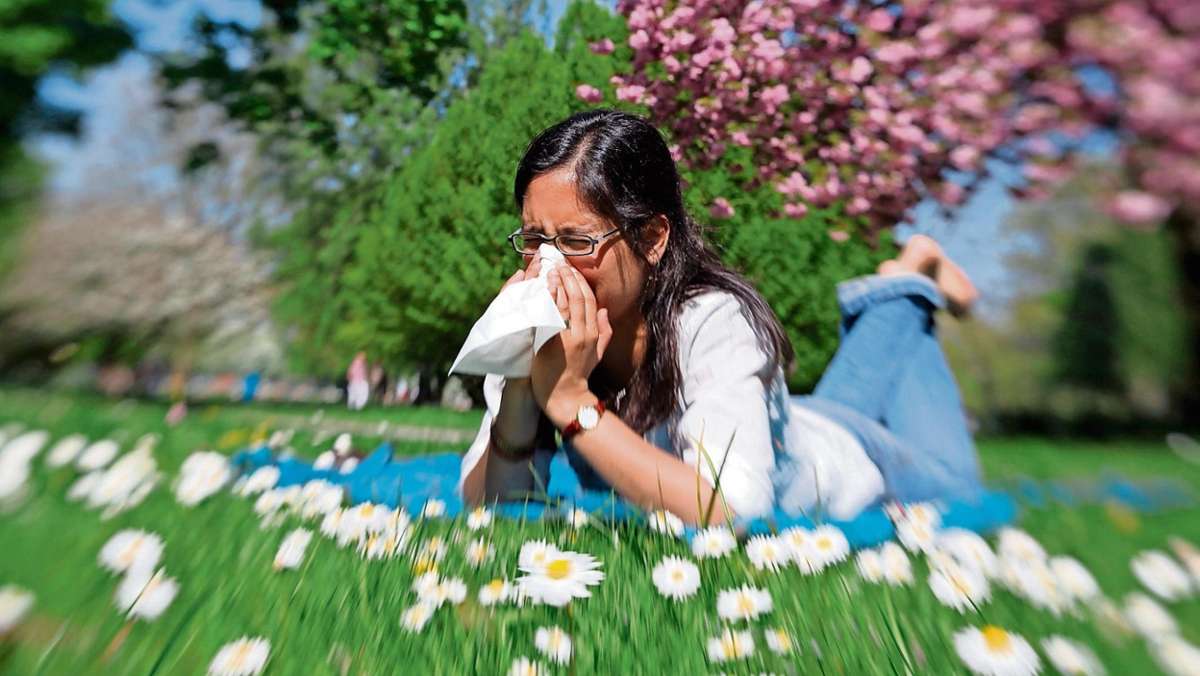 Kulmbach: Der Anstieg der Allergien