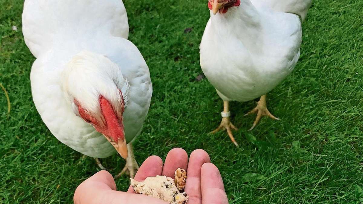 Wunsiedel: Schöne Tage mit Huhn und Heu