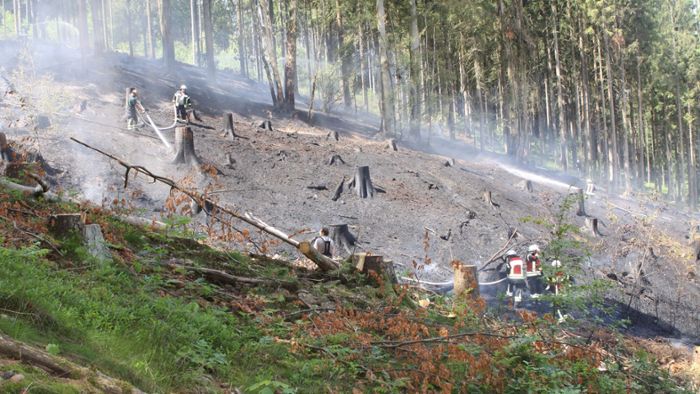 Beobachtungsflüge: Erste Waldbrände in Oberfranken