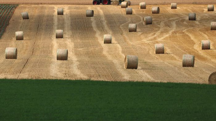 Landwirtschaft: Lob und Kritik für „Zukunftsvertrag“