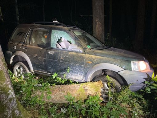 Im Wald fuhr sich der SUV nach einer Verfolgungsjagd mit der Polizei fest. Foto: Polizei