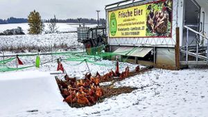 Hühnern droht Stubenarrest