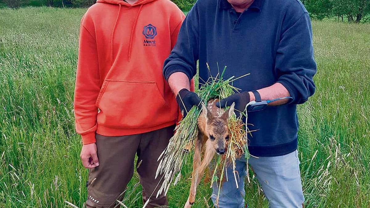 Hof: Jäger retten Rehkitz im hohen Gras