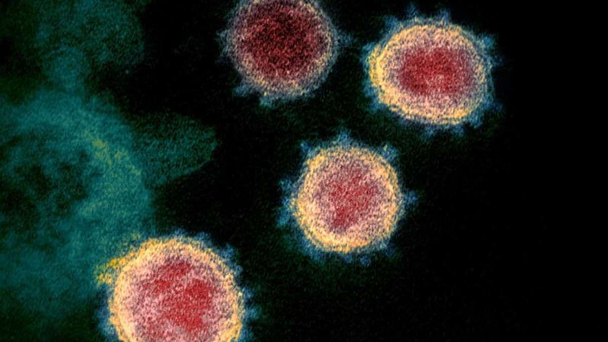 Aus der Region: Coronavirus: Das müssen Sie am Samstag wissen