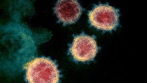Coronavirus: Das müssen Sie am Samstag wissen
