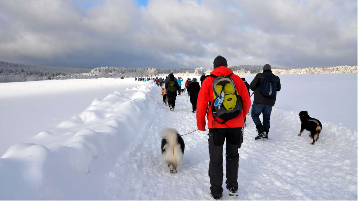 Ochsenkopf: Winterwandertage mit 46 Touren
