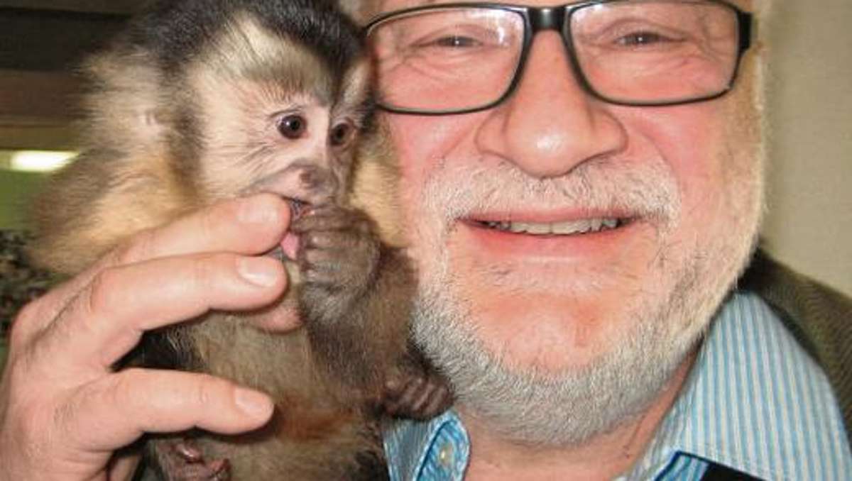 Hof: Kleiner Affe liebt die Menschen