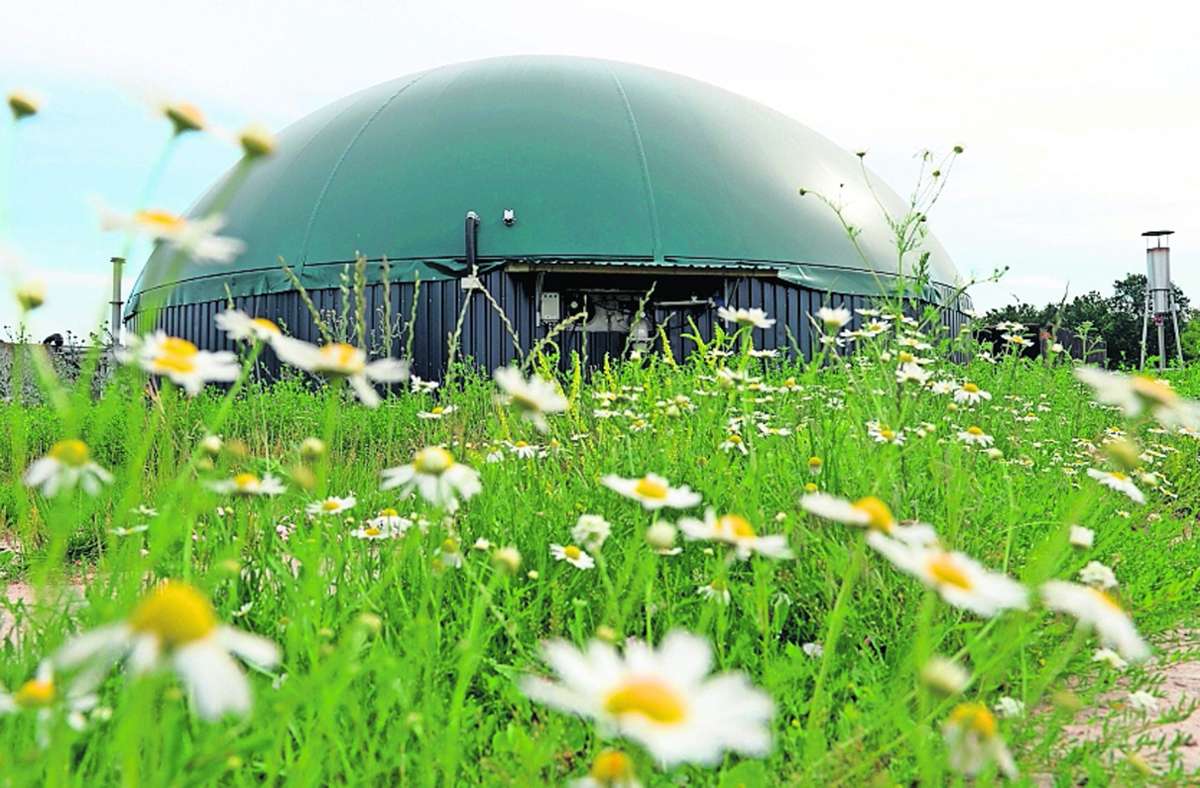 Biogasanlagen wie diese  sind eine wichtige Wirtschaftskraft für die Region. Foto: /Maurizio Gambarini