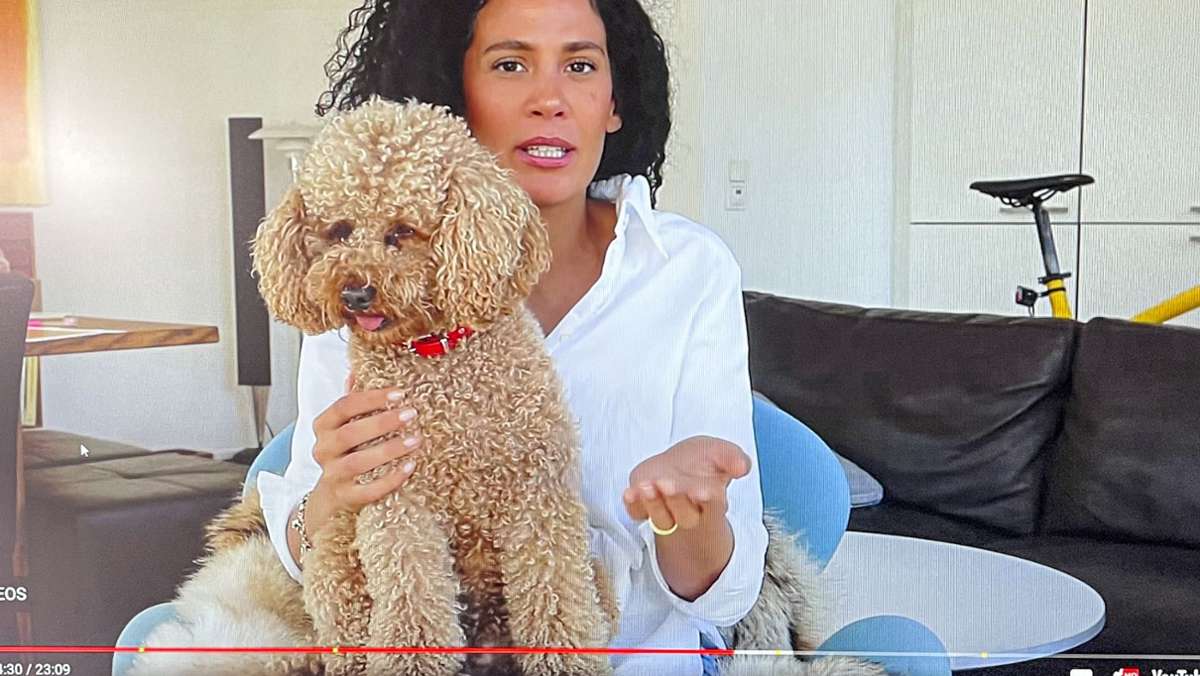 Hundezüchterin war Video-Star: Trauer in der Szene der Pudel-Liebhaber
