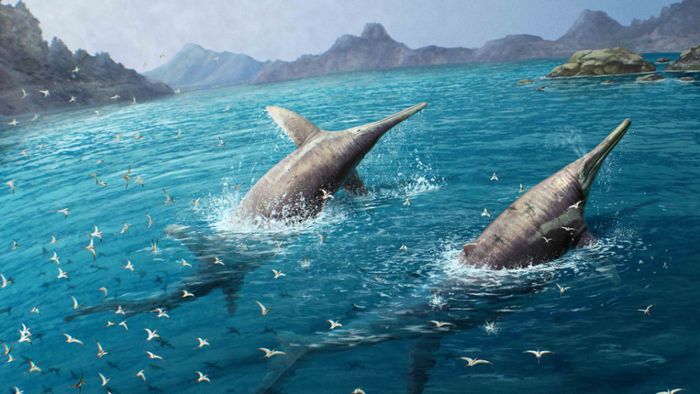 Im Urzeit-Meer lebte einst ein gewaltiges Reptil