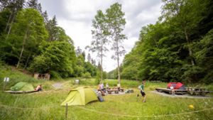 Trekking im Frankenwald: Mit dem Zelt mitten im Wald