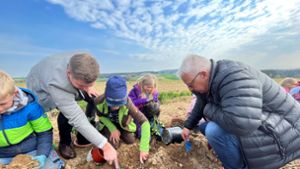 Projekt „Tolle Knolle“: Kinder pflanzen  Kartoffeln für ihr Buffet