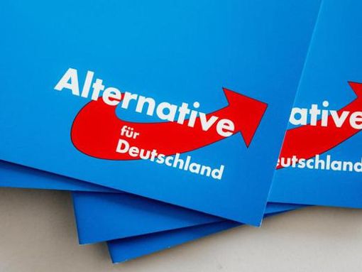 Das Logo der Alternative für Deutschland (AfD) iat auf Broschüren zu sehen. Foto: dpa