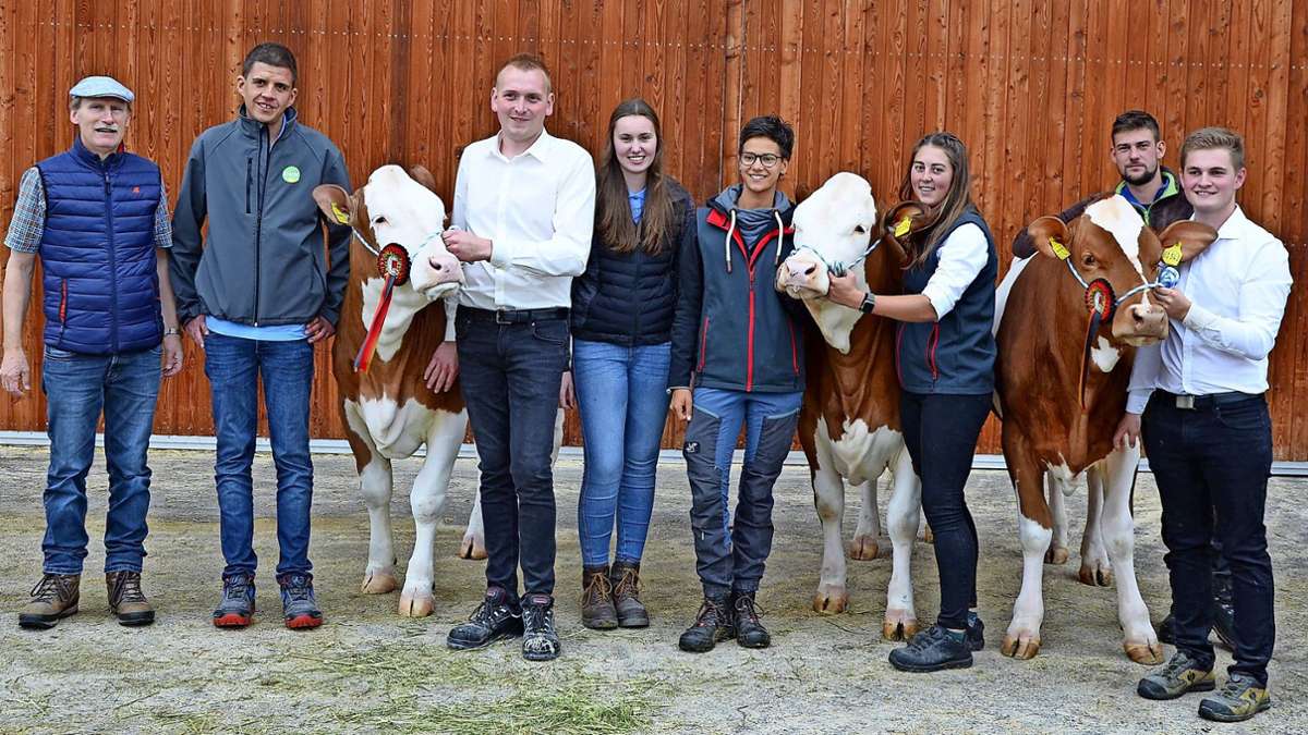 Bundesflecktierschau: Louisas Super-Kuh gewinnt