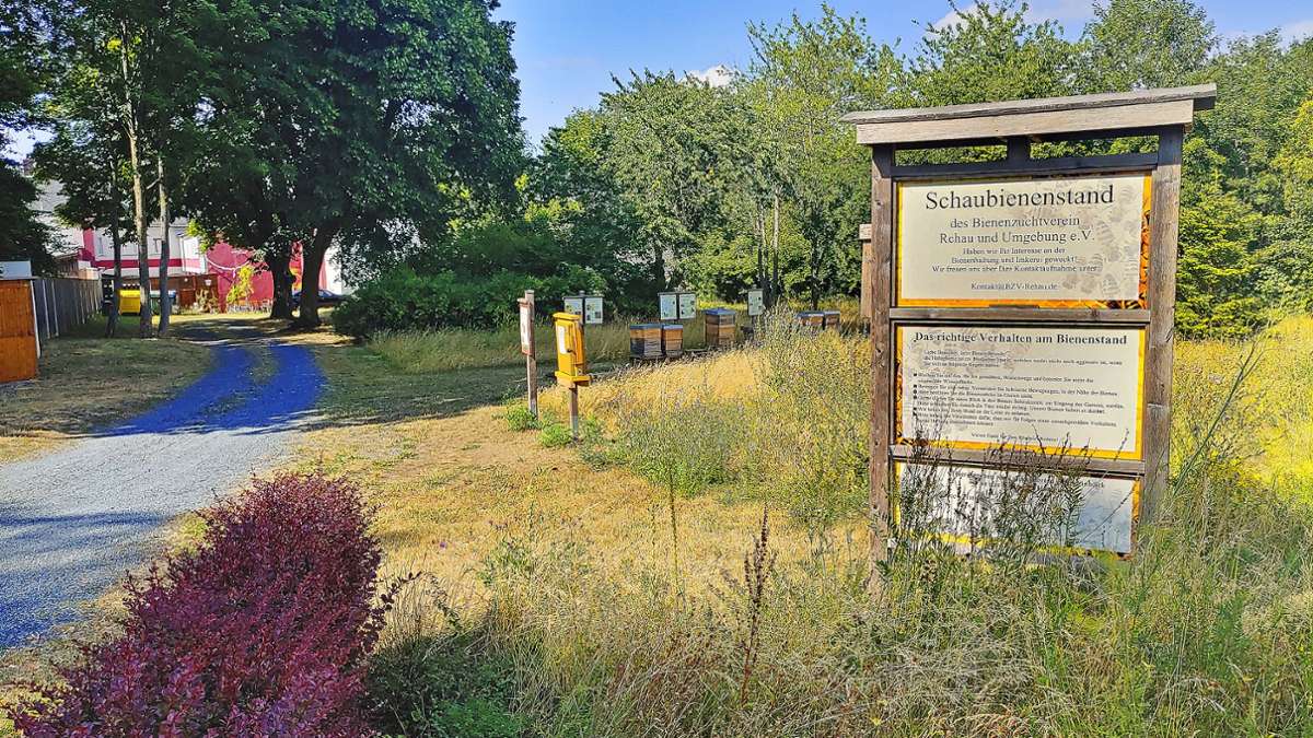 Stadtpark in Rehau: Bewegende Ideen für den Kronengarten