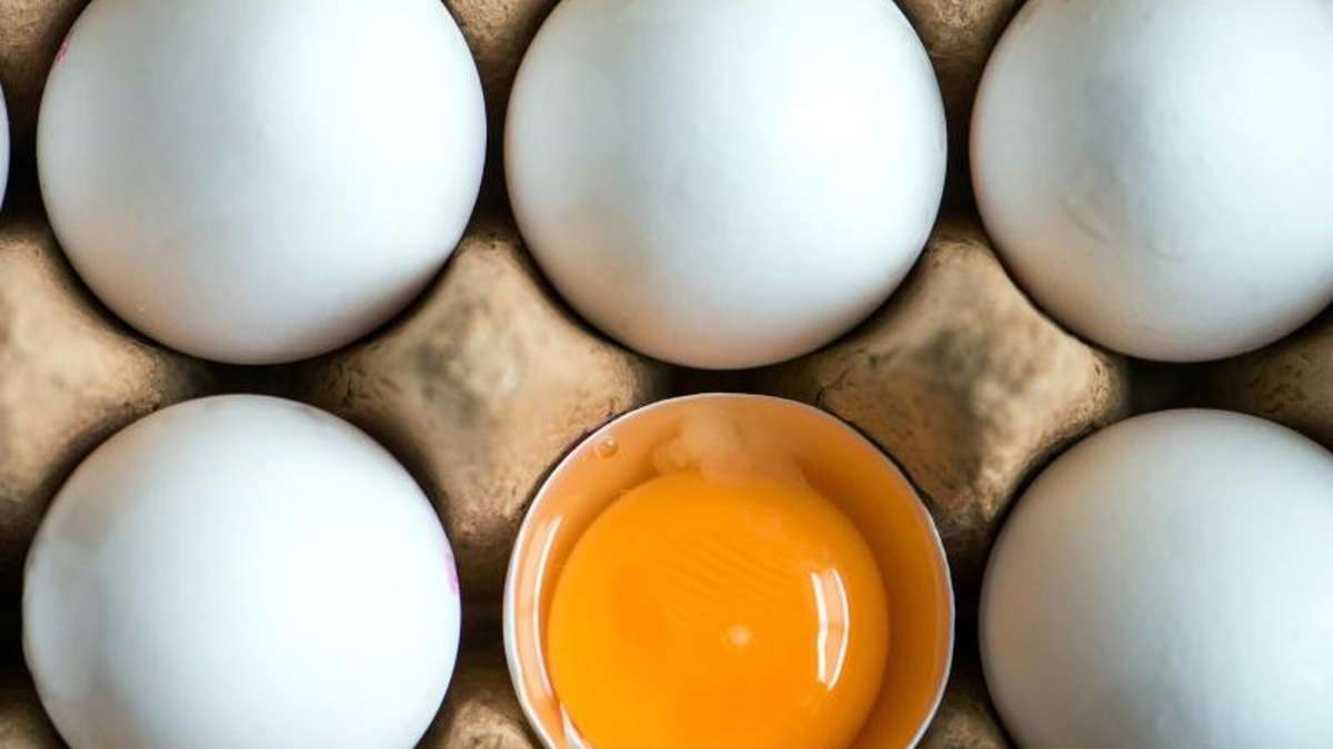 Länderspiegel: Salmonellen-Alarm in Bio-Eiern