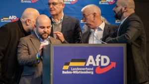 Politik: Tumult in der Stadthalle: Landes-Parteitag der AfD eskaliert