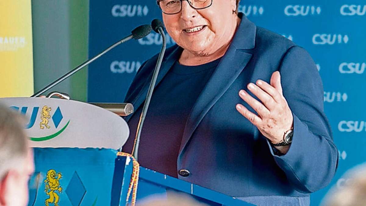 Regnitzlosau: Landtagspräsidentin lobt das Ehrenamt