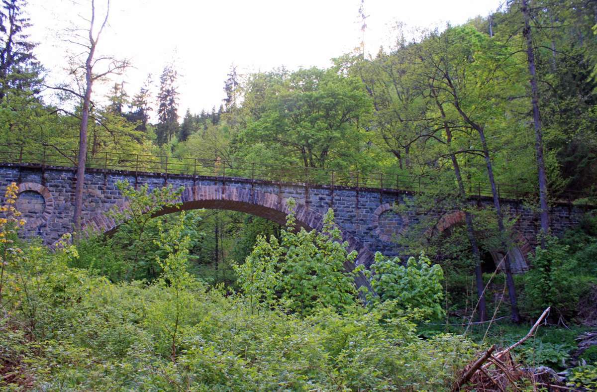 Die Brücke der Höllentalbahn ist im Dornröschenschlaf.  Foto: Archiv/Werner Rost