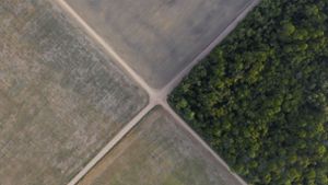Abholzung im brasilianischen Regenwald auf neuen Rekordwert gestiegen