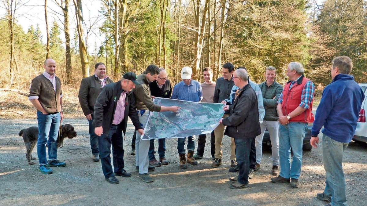 Kulmbach: Plan gegen Wildschweinplage gesucht