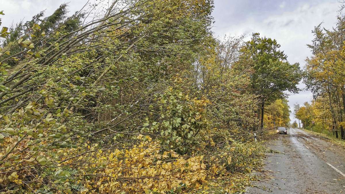 Sturm über Hochfranken: „Hendrik“ wütete in der Region