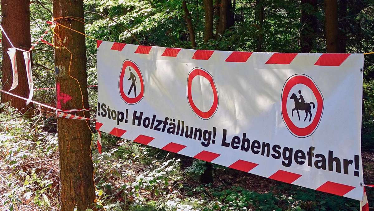 Hof: Waldbesucher ignorieren Lebensgefahr